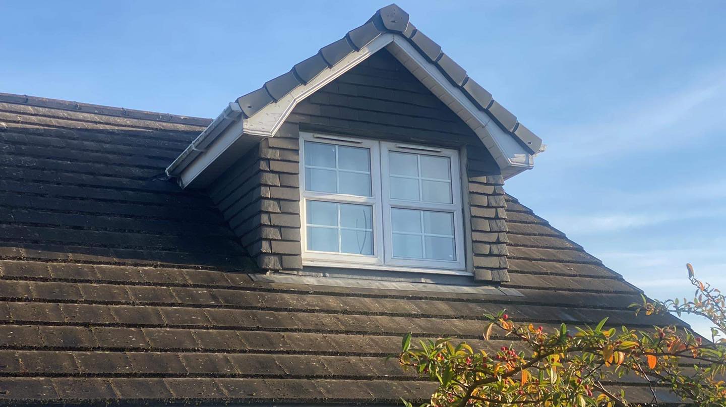 Exterior Clean Roof
